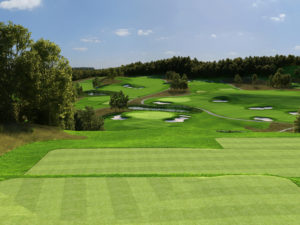 Rev Braemar Hole #13 BackTee 3D